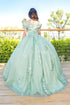 Girls Bliss Sweetheart Sequin Glitter Lace Train Ball Gown 2-16